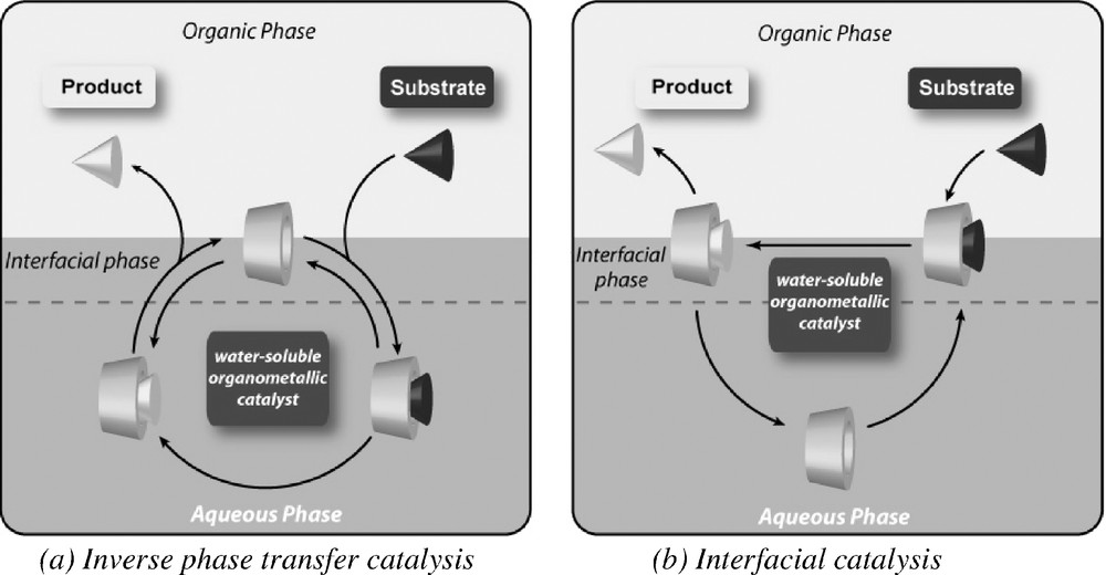 Interactions of Native Cyclodextrins with Metal Ions and Inorganic  Nanoparticles: Fertile Landscape for Chemistry and Materials Science