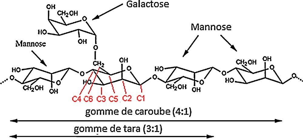 18-Unité struturale de la gomme xanthane. Le xanthane est un