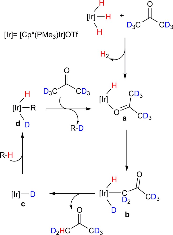 Mechanistic Considerations On Catalytic H D Exchange Mediated By 