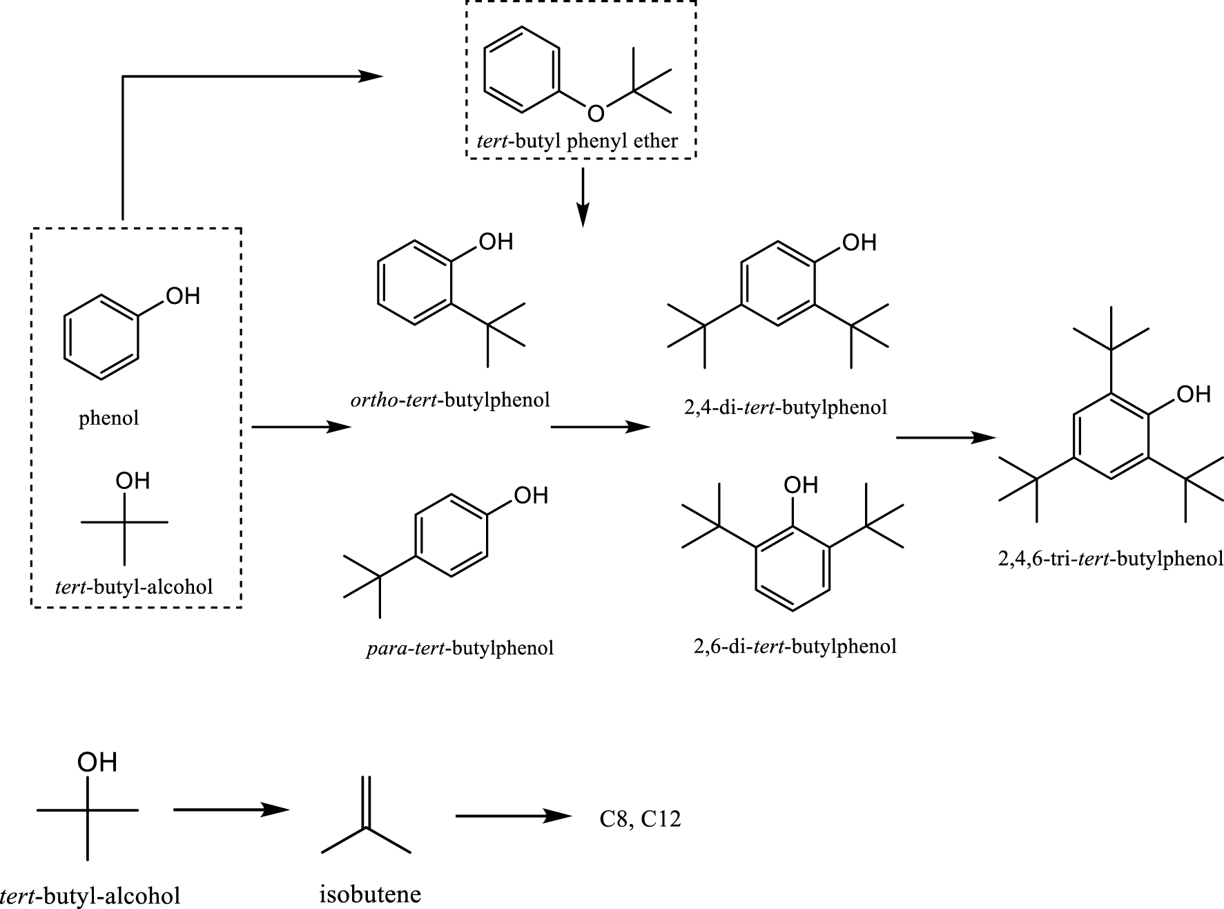 Isobutylene To An Alcohol