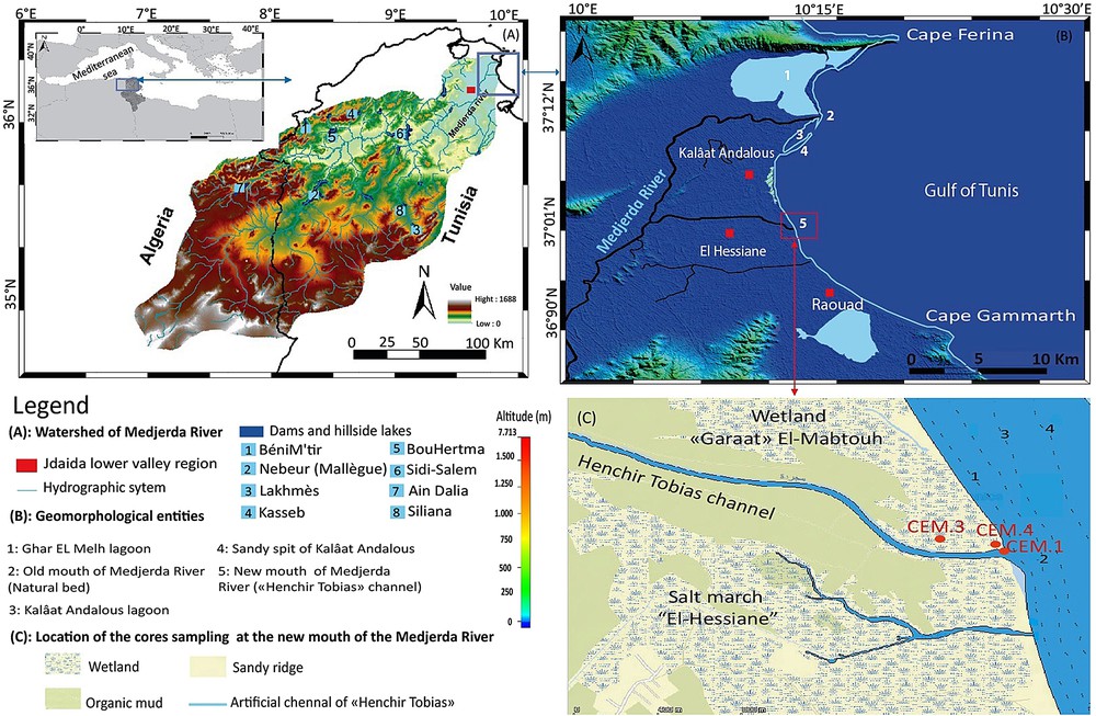Progradation and retrogradation of the Medjerda delta during the 20th  century (Tunisia, western Mediterranean)